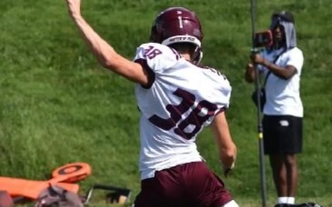 Pigskins and Procrastinations