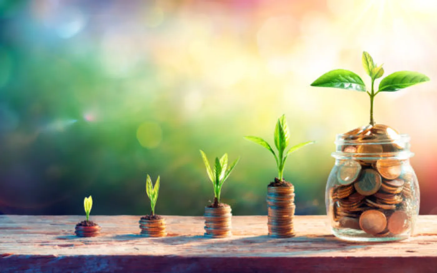 Reverse Budgeting
