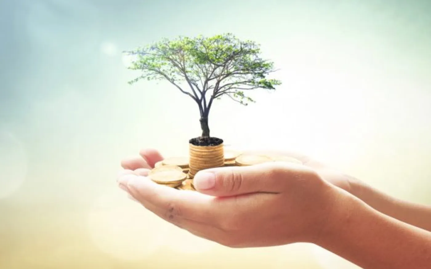 The “If/Thens” of Financial Stewardship