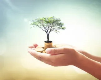 The “If/Thens” of Financial Stewardship