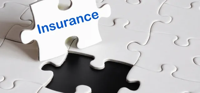 Life Insurance as an Asset Class