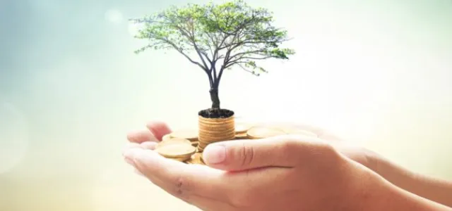 The “If/Thens” of Financial Stewardship